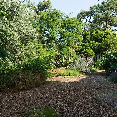 Lège-Cap-Ferret Le Lodge Du Cap Ferret מראה חיצוני תמונה