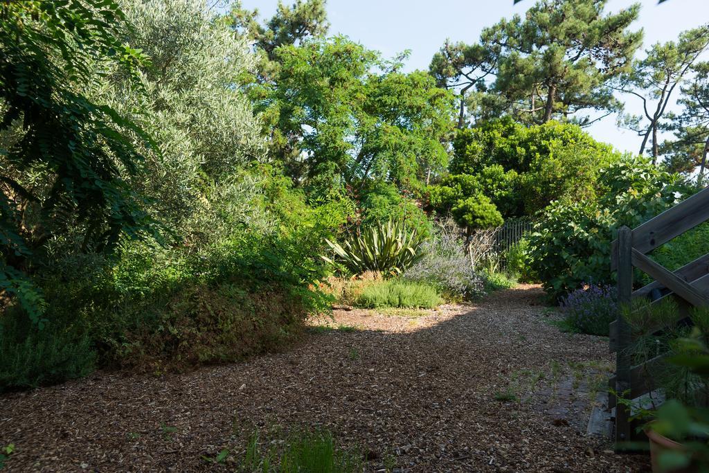 Lège-Cap-Ferret Le Lodge Du Cap Ferret מראה חיצוני תמונה