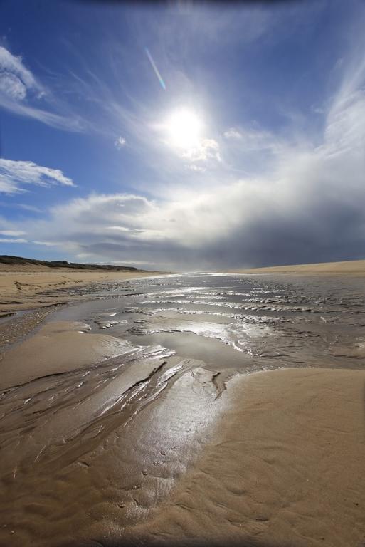 Lège-Cap-Ferret Le Lodge Du Cap Ferret מראה חיצוני תמונה