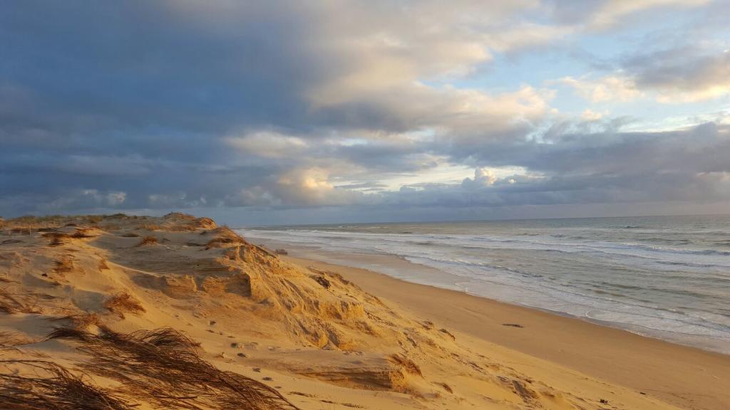 Lège-Cap-Ferret Le Lodge Du Cap Ferret מראה חיצוני תמונה